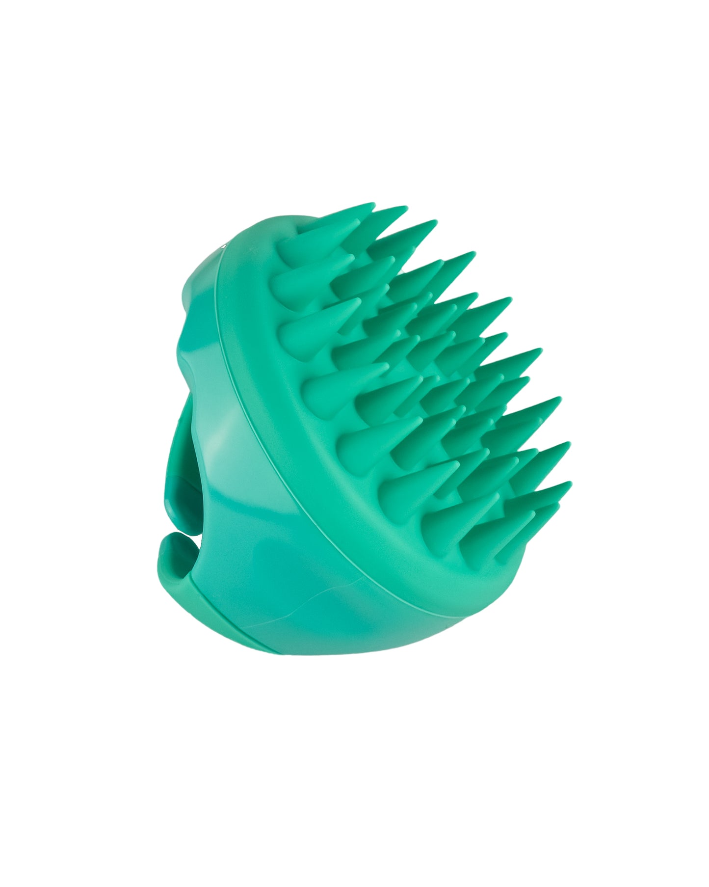 Scalp Massage Brush